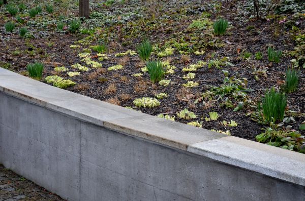 Concrete Wall Construction in Goshen